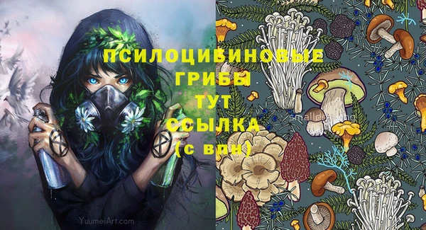 прущая мука Гусиноозёрск