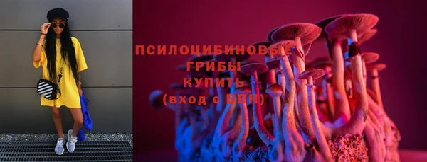 первитин Гусев