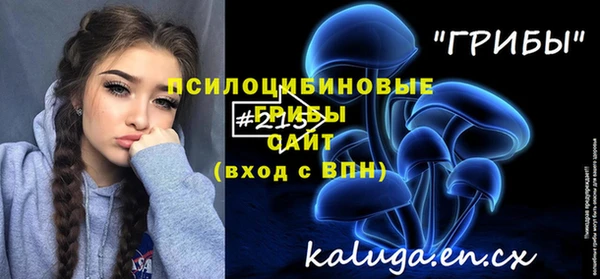 первитин Гусев