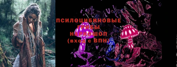 прущая мука Гусиноозёрск