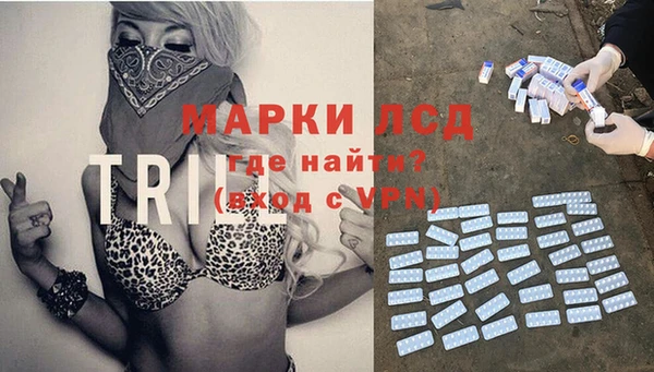 первитин Гусев