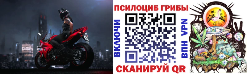 Галлюциногенные грибы прущие грибы  Купить закладки  Кстово 